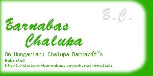 barnabas chalupa business card